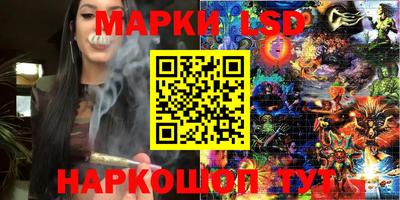 мдпв Бийск