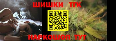 мдпв Бийск