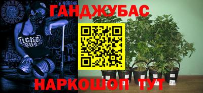 трава Берёзовский