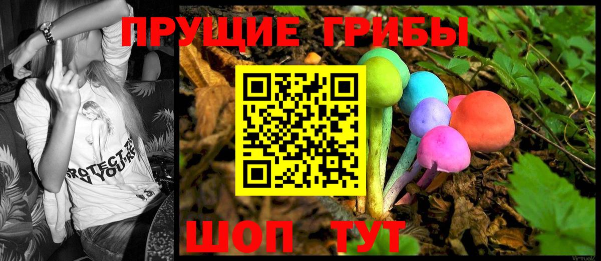 Галлюциногенные грибы Cubensis Вязники