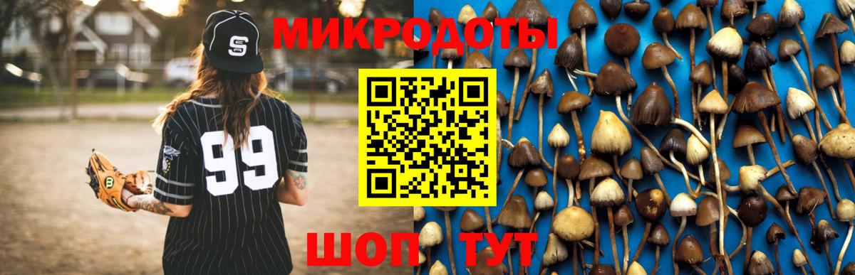 Галлюциногенные грибы Cubensis Вязники